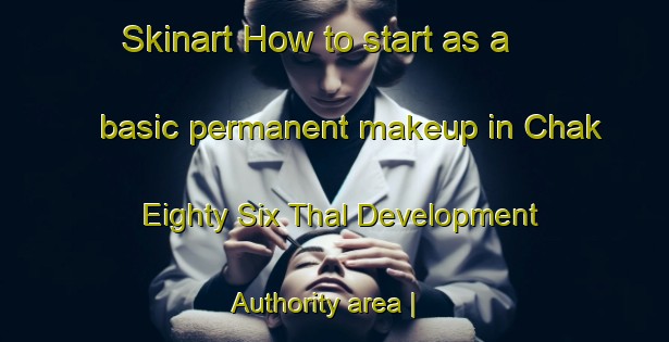 Skinart How to start as a basic permanent makeup in Chak Eighty Six Thal Development Authority area | PermanentmakeupTraining | PermanentmakeupClasses | SkinartTraining-Pakistan